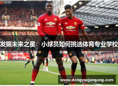 发掘未来之星：小球员如何挑选体育专业学校