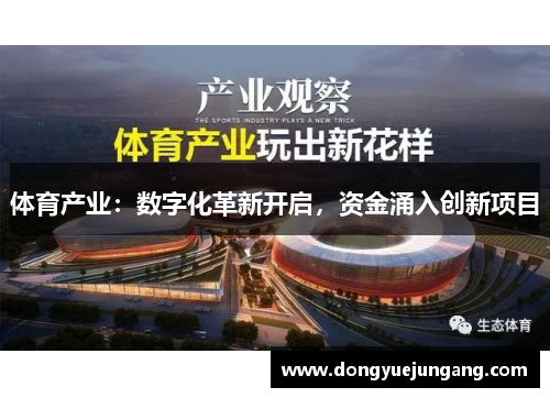 体育产业：数字化革新开启，资金涌入创新项目